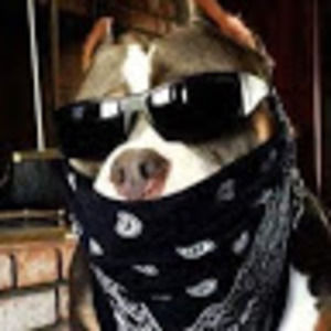 Meet your Posher, Kris